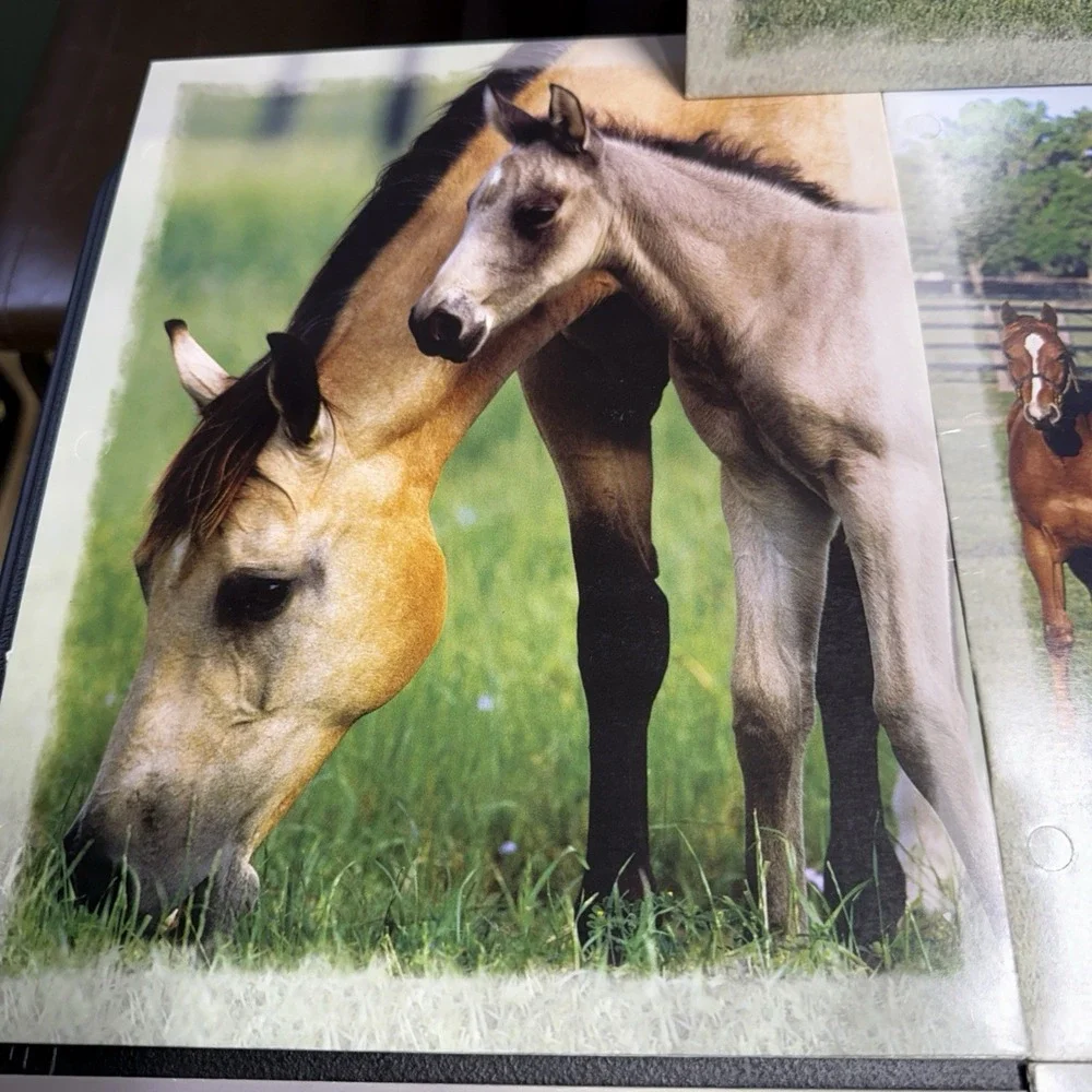 5-Vintage 2005 Horse Mead Portfolio 2 Pocket 3 Ring Bob Langrish